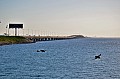 023 Manama - King Fahd Causeway