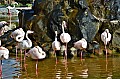 168 Al Areen Wildlife Parl & Reserve
