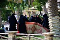 177 Al Areen Wildlife Parl & Reserve
