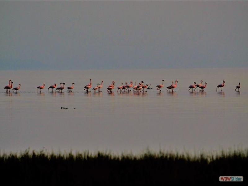 Lake Natron