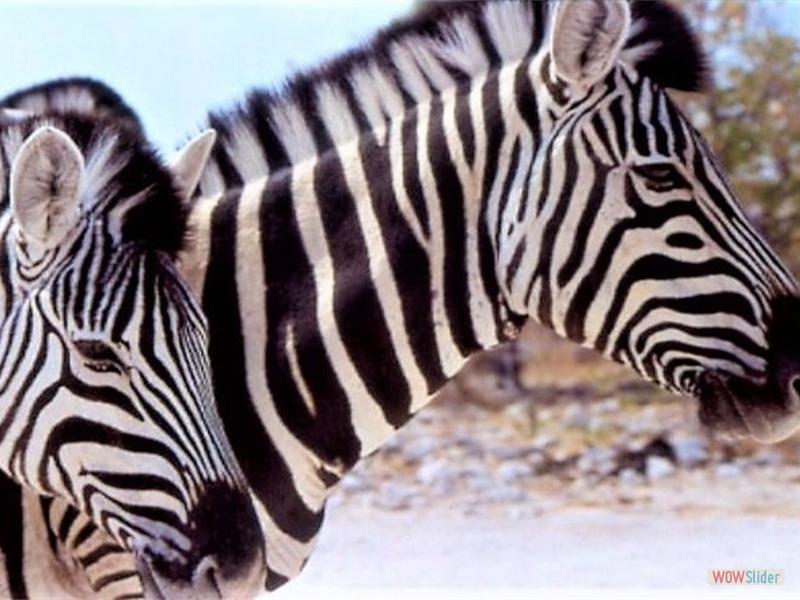 Namibia