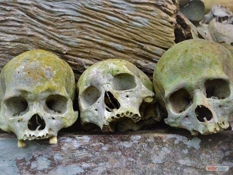 Sulawesi, Tana Toraja