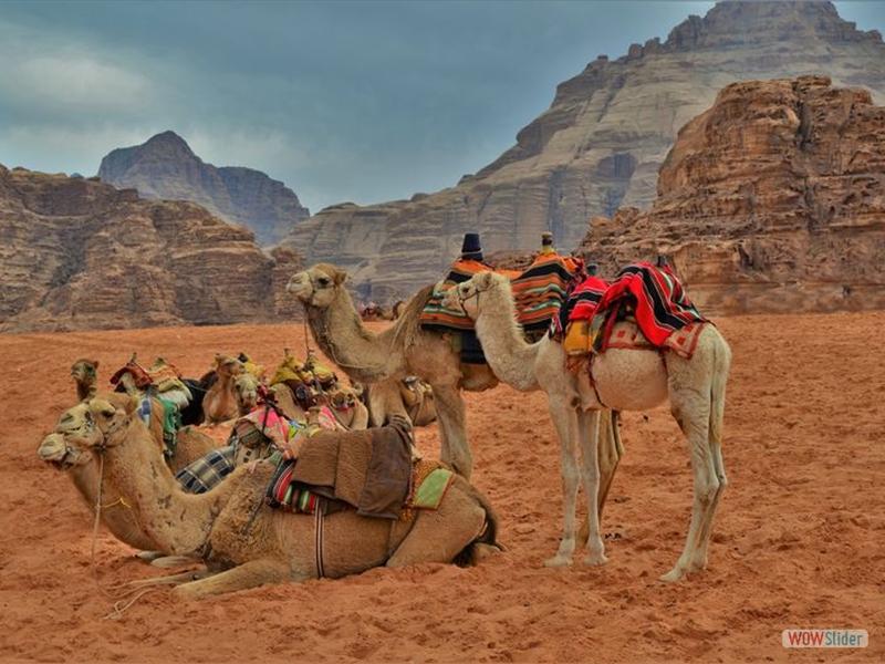 Wadi Rum
