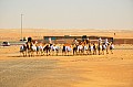 016 Liwa
