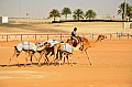 017 Liwa