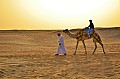 019 Liwa
