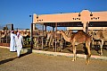 044 Al Ain