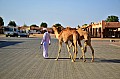 048 Al Ain