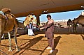 050 Al Ain