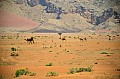 061 Hatta