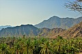 090 Al Badiyah