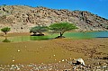 103 Jebel Jais