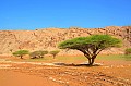 106 Jebel Jais