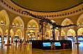 247 Dubai