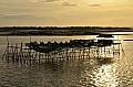 025 Hagnaya