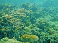 048 Virgiin island
