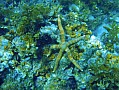 049 Virgiin island