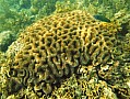 050 Virgiin island