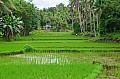 085 Bohol