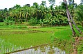 086 Bohol
