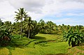 096 Bohol