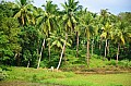 098 Bohol