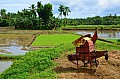 099 Bohol