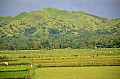 100 Bohol