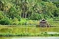 103 Bohol