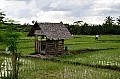 106 Bohol