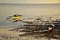 117 Bohol