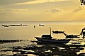 119 Bohol