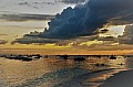161 Panglao