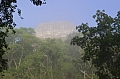 116 Tikal