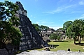 126 Tikal