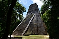 130 Tikal