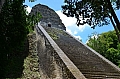 131 Tikal