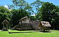 133 Ceibal