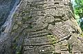 135 Ceibal