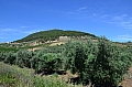 0032  Monte Tabor
