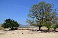 0076  Tel Hazor