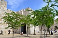 0138  Gerusalemme