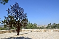 0152  Gerusalemme