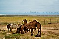 077 Mutla Ridge