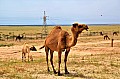078 Mutla Ridge