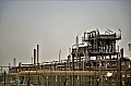 098 Al Ahmadi