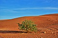 149 Sharqiya sands