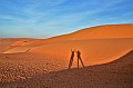 153 Sharqiya sands