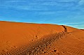 158 Sharqiya sands