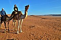 166 Sharqiya sands